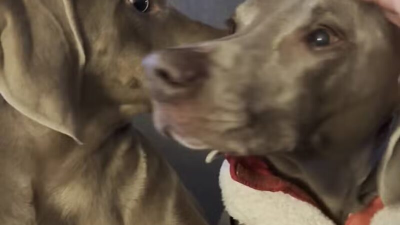 Bear Creek Dog Park Entrance - Colorado Springs, CO