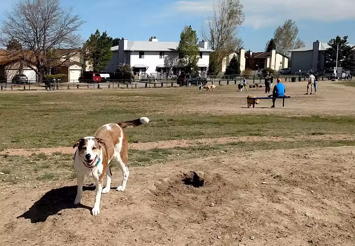 Eastridge Dog Park - Colorado Springs, CO