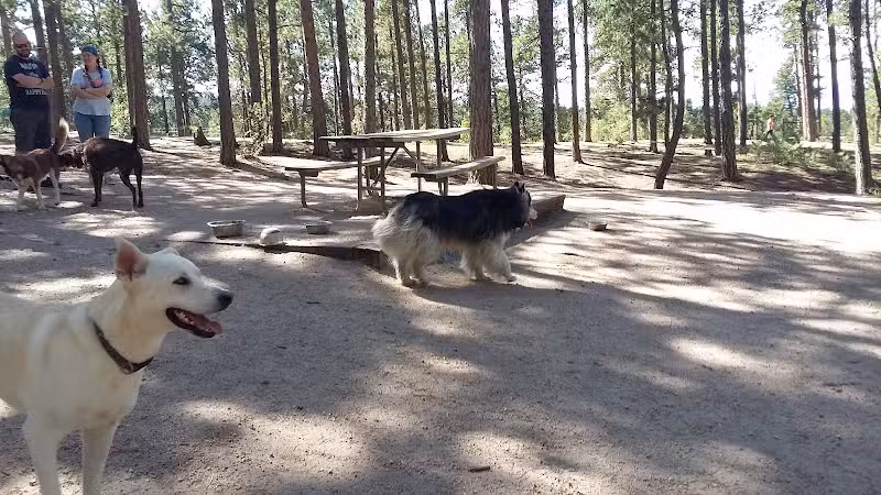 Fox Run Dog Park - Colorado Springs, CO