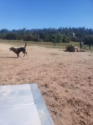 Palmer Park Dog Park - Colorado Springs, CO