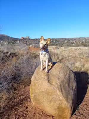Red Rocks Dog Park - Colorado Springs, CO