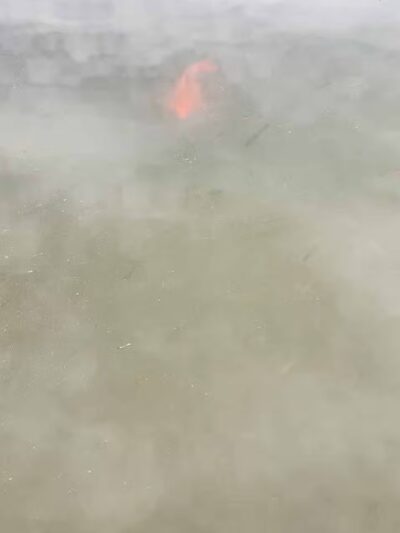 Fox Run Dog Park - Colorado Springs, CO