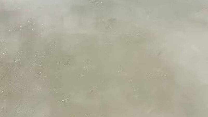 Fox Run Dog Park - Colorado Springs, CO