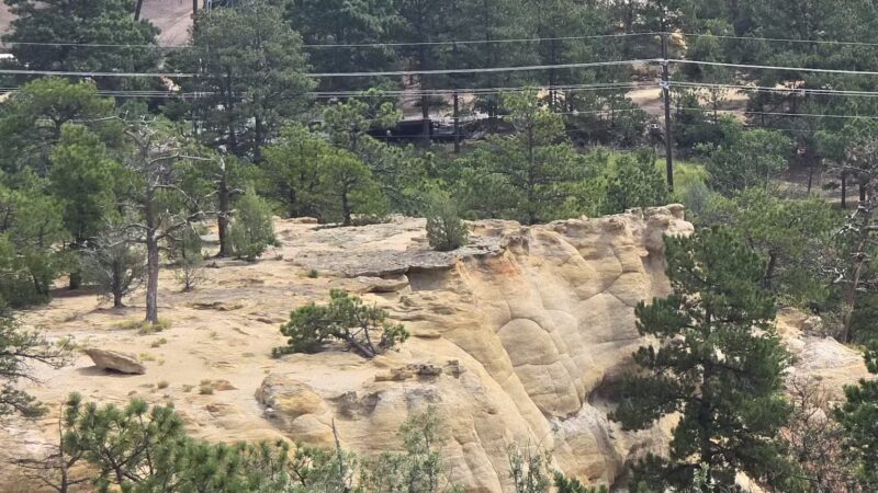 Palmer Park Dog Park - Colorado Springs, CO