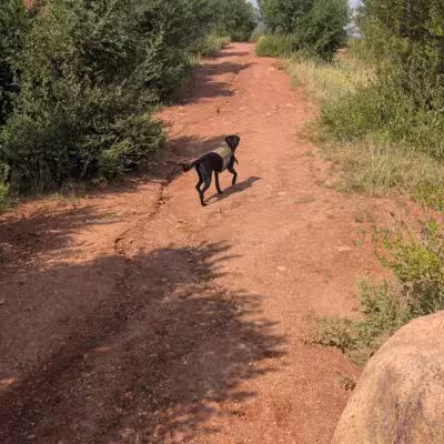Red Rocks Dog Park - Colorado Springs, CO