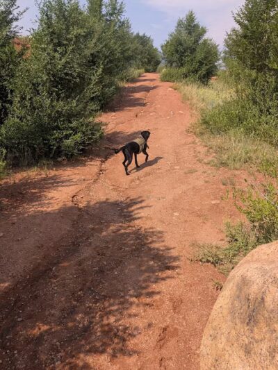Red Rocks Dog Park - Colorado Springs, CO