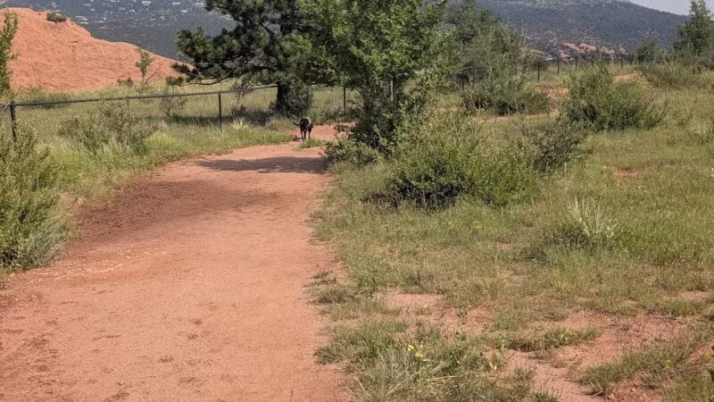 Red Rocks Dog Park - Colorado Springs, CO