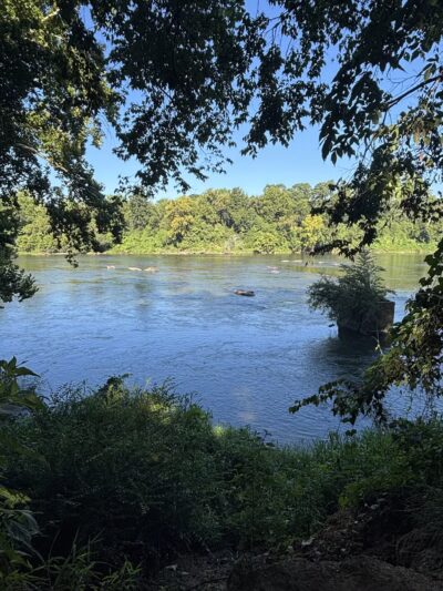 Granby Park - Columbia, SC