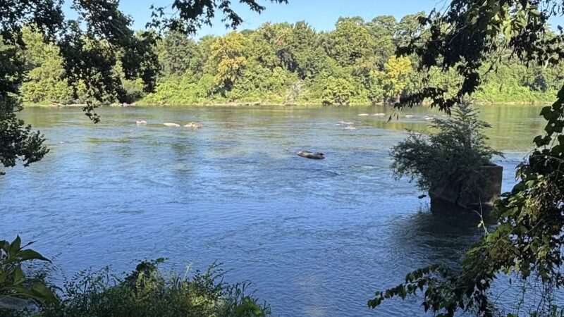 Granby Park - Columbia, SC