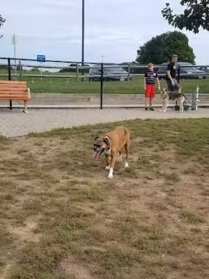 Columbia DogPark - Columbia, MD