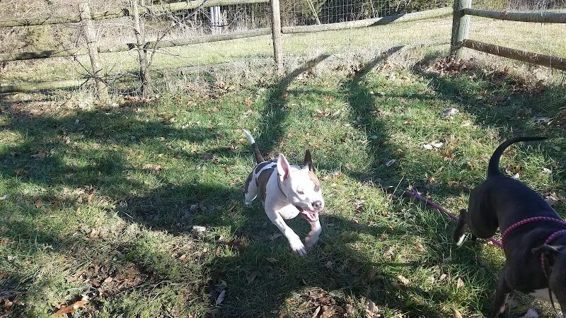 Dog Park - Columbia, MO