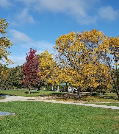 Dog Park - Columbia, MO