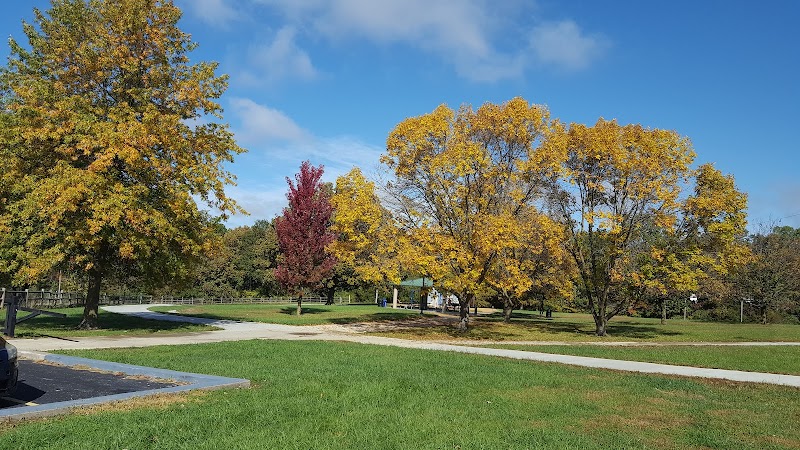 Dog Park - Columbia, MO