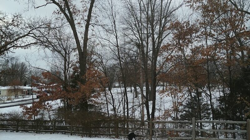 Dog Park - Columbia, MO