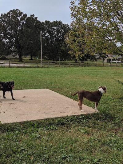 Dog Park - Columbia, MO