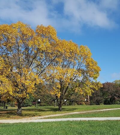 Dog Park - Columbia, MO
