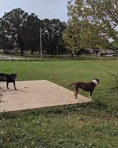 Dog Park - Columbia, MO