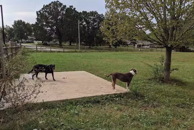 Dog Park - Columbia, MO