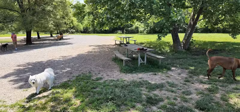 Garth Nature Area Dog Park - Columbia, MO