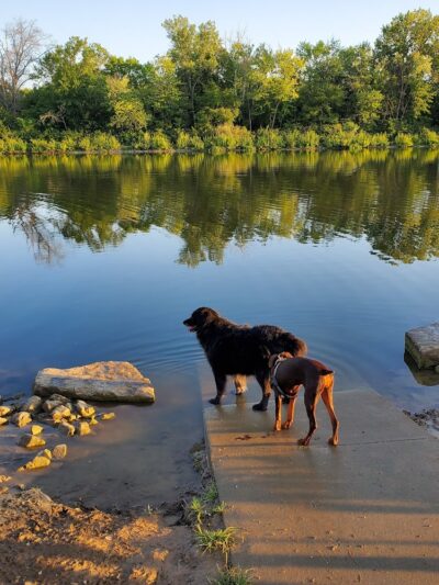 Twin Lakes Dog Park - Columbia, MO