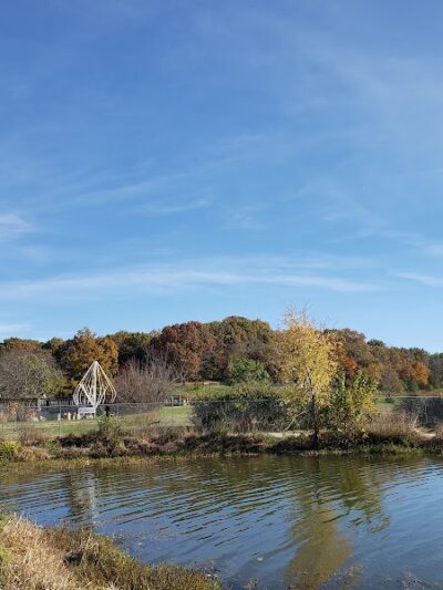 Twin Lakes Dog Park - Columbia, MO