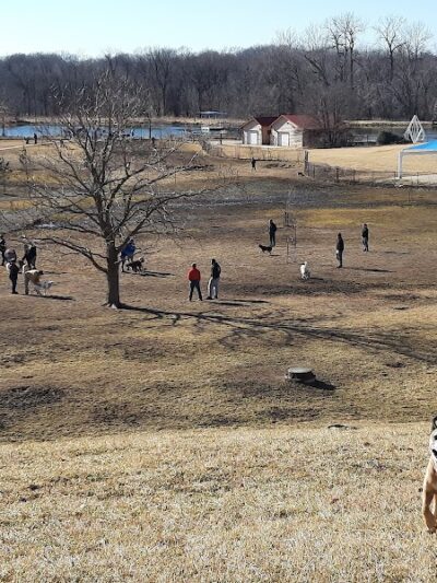 Twin Lakes Dog Park - Columbia, MO