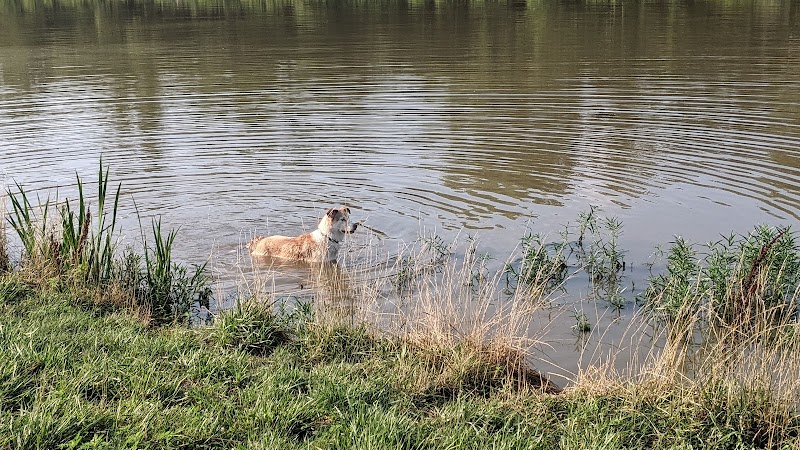 Twin Lakes Dog Park - Columbia, MO