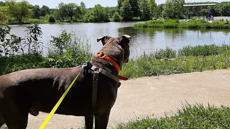 Twin Lakes Dog Park - Columbia, MO