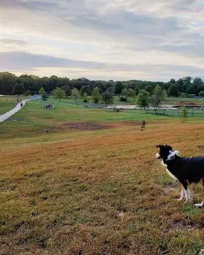 Twin Lakes Dog Park - Columbia, MO