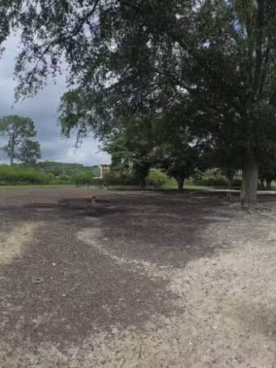 Page Ellington Park Dog Park - Columbia, SC