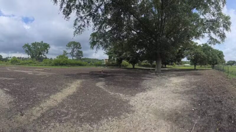Page Ellington Park Dog Park - Columbia, SC
