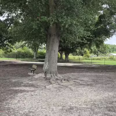 Page Ellington Park Dog Park - Columbia, SC