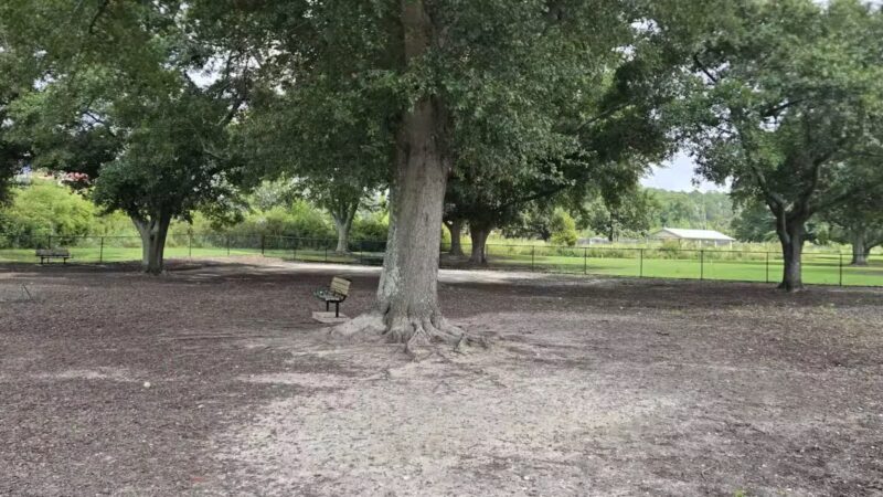 Page Ellington Park Dog Park - Columbia, SC