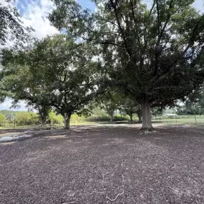 Page Ellington Park Dog Park - Columbia, SC