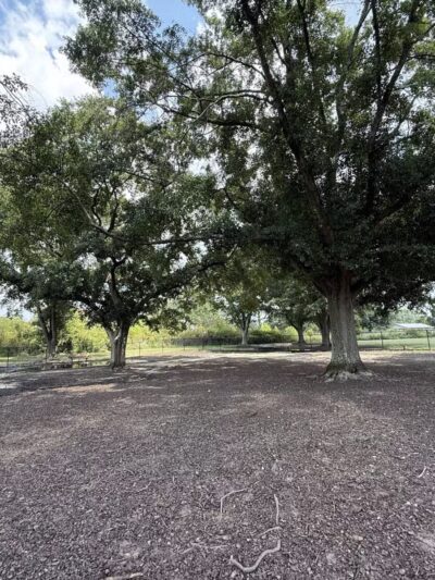 Page Ellington Park Dog Park - Columbia, SC