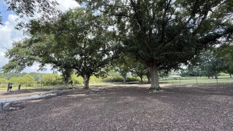 Page Ellington Park Dog Park - Columbia, SC