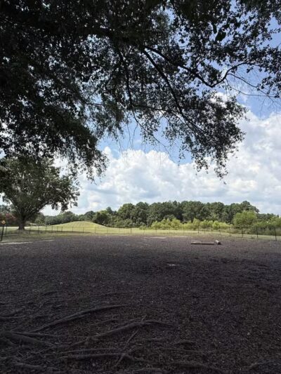 Page Ellington Park Dog Park - Columbia, SC