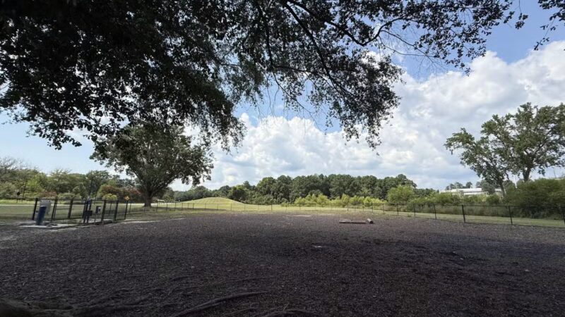 Page Ellington Park Dog Park - Columbia, SC