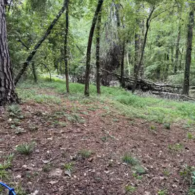 Saluda Shoals Park - Columbia, SC