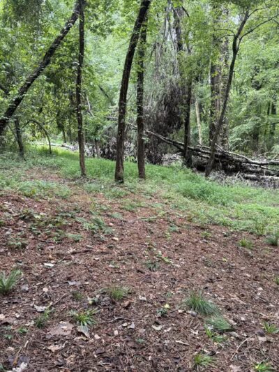 Saluda Shoals Park - Columbia, SC