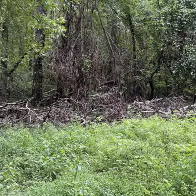 Saluda Shoals Park - Columbia, SC
