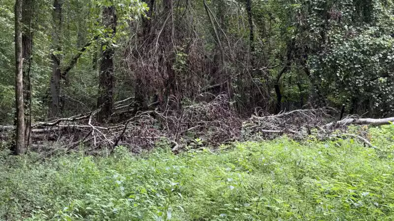 Saluda Shoals Park - Columbia, SC