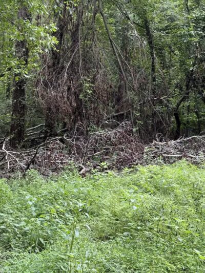 Saluda Shoals Park - Columbia, SC