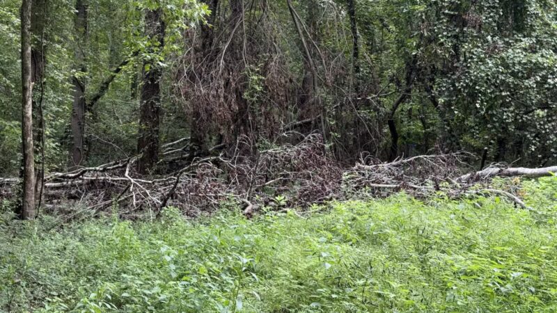 Saluda Shoals Park - Columbia, SC