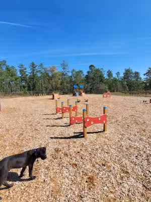 Fort Jackson Dog Park - Columbia, SC