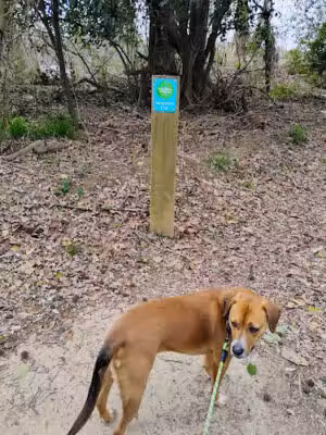 Granby Park - Columbia, SC