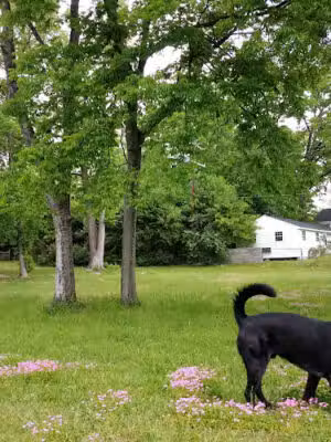 Lester Bates Park - Columbia, SC