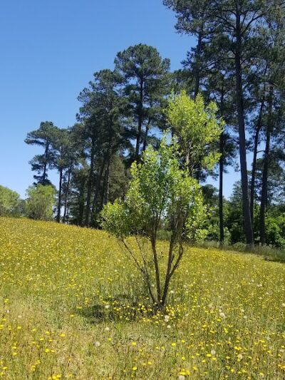 Michael J & Mary Meech MUNGO PARK - Columbia, SC