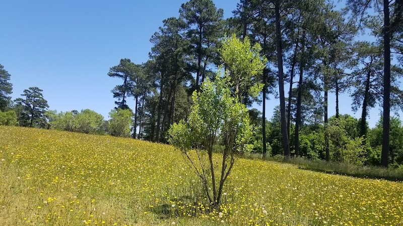 Michael J & Mary Meech MUNGO PARK - Columbia, SC