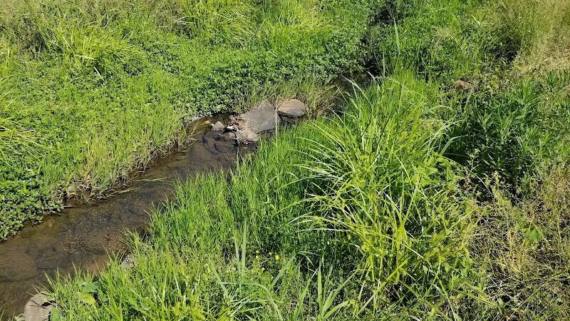 Michael J & Mary Meech MUNGO PARK - Columbia, SC